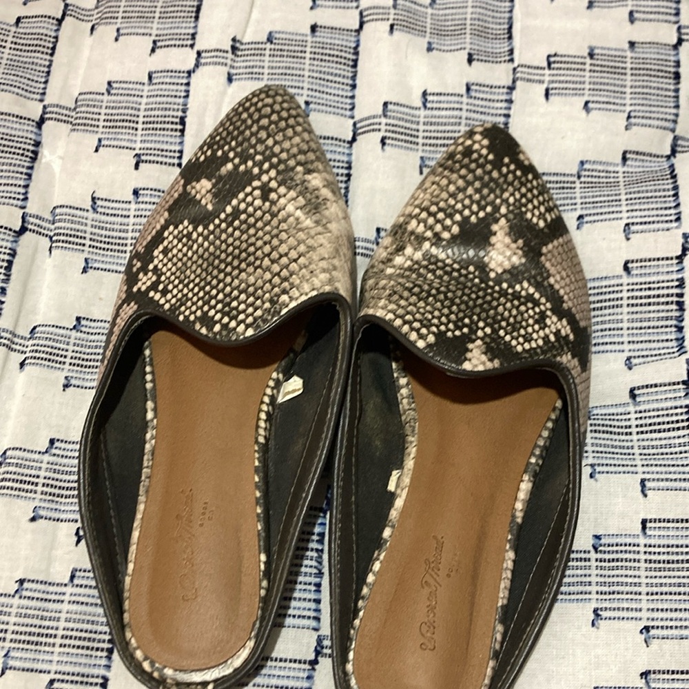 Universal thread brand from target size 6 1/2 mules snake skin print